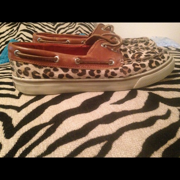 Sperrys leopard - Picture 2 of 3